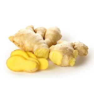 fresh-ginger_looking For distributors